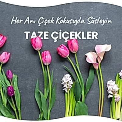 Taze çiçekler